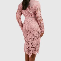 Grande Taille - Robe Mi-longue Habillée à Broderies Fleuries -Pas Cher Vêtue Diva Magasin pzz01462 blush xl 1